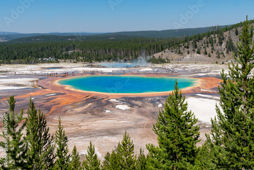 View of Grand Prismatic Spring from the Fairy Falls overlook and viewing platform to see the hot spring from above in Yellowstone National Park