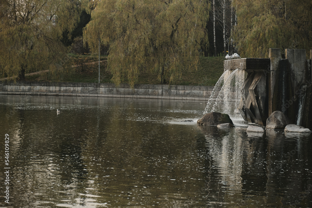 Naklejka premium A waterfall flowing at park Wall of water A beautiful view of the falling water cascade city fountain close-up pouring
