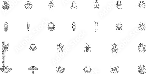 ミニ昆虫の筆書きイラストアイコンセット