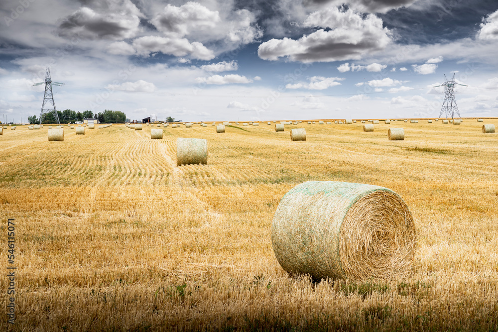 Round hay bales on a harvested prairie landscape with distant transmission towers in Rocky View County Alberta Canada.