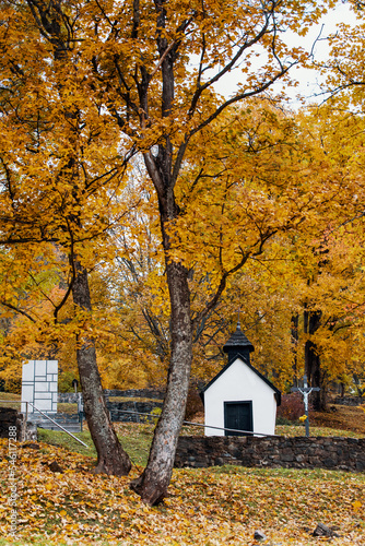 Colourful autumn in Kaliste village  Slovakia near Banska Bystrica.