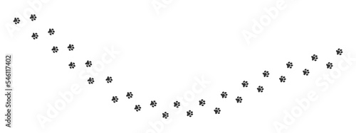 Wet or mud foot prints of dog, cat, bear, tiger, raccoon. Paw stamps. Running or walking animals steps trace isolated on white background. Vector graphic illustration