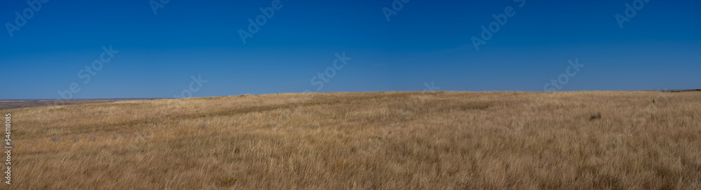 Minimal scene of light brown prairie grass under a cloudless blue sky.
Minimal scene of light brown prairie grass under a cloudless blue sky.
