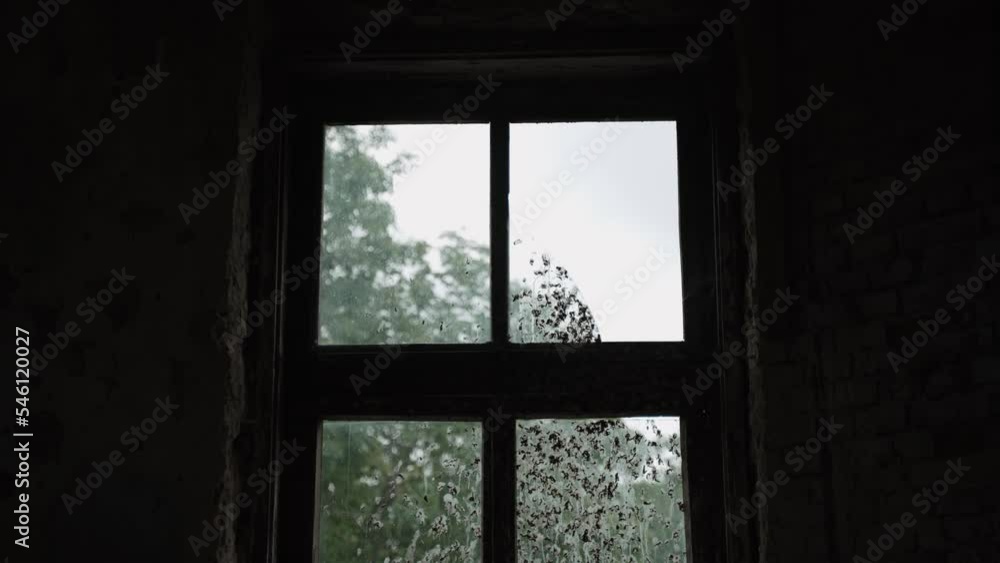 Old window in dark room. Glass was shattered, soiled with bird droppings. Old window in dark room. Glass was shattered, soiled with bird droppings.