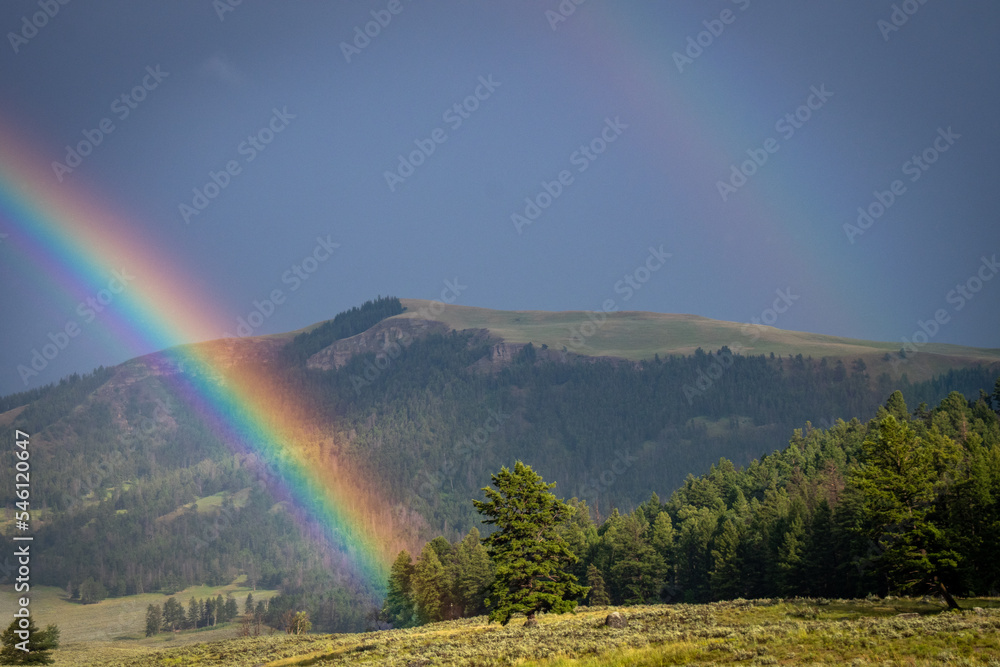 Rainbow over Specimen Ridge, Yellowstone National Park