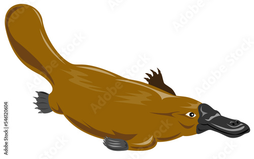 Platypus Diving