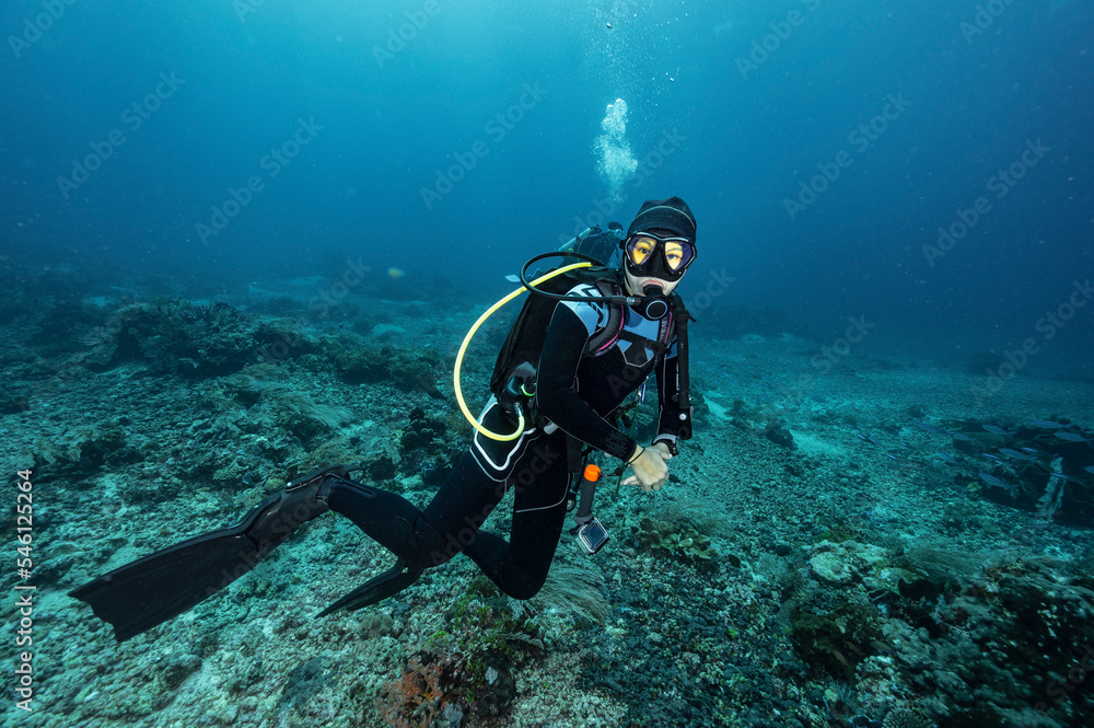 Diver exploring the coral reefs at Komodo / Indonesia Diver exploring the coral reefs at Komodo / Indonesia