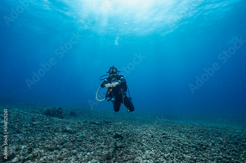 Wallpaper Mural Diver exploring the ocean at Komodo / Indonesia Torontodigital.ca