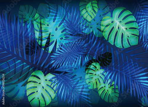 Fototapeta Naklejka Na Ścianę i Meble -  背景素材０１　background　ジャングル　植物