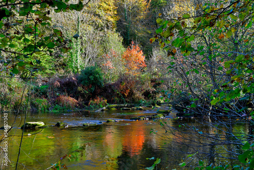 Jolie vue en automne le long du Léguer dans le Trégor - Bretagne France