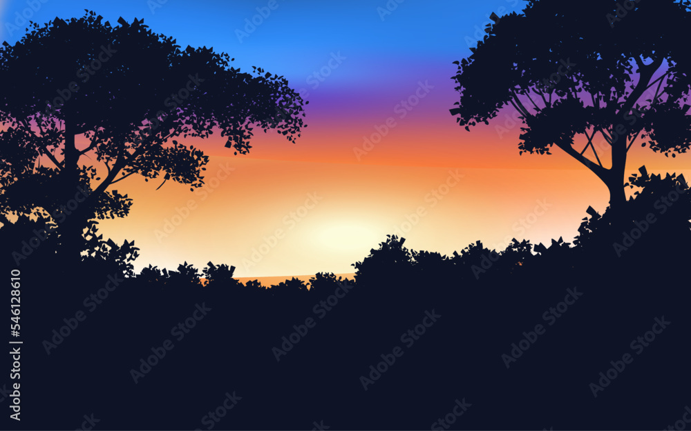 sunset in the forest silhouette
