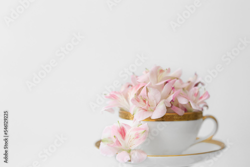 Pink alstroemeria flower in a white cup rimmed with gold