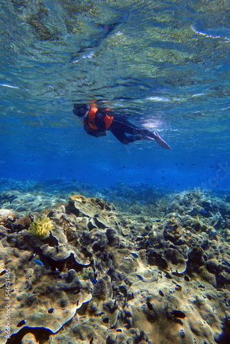 Indonesia Alor Island - Marine life Woman snorkeling in coral reef