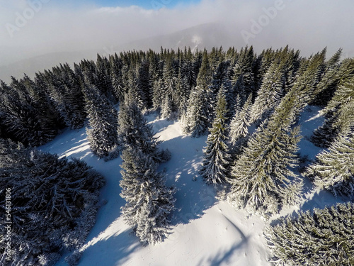 Aerial shot of beautiful snow covered landscape and trees, Christmas holiday time