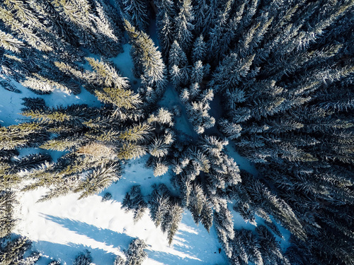 Aerial shot of beautiful snow covered landscape and trees, Christmas holiday time