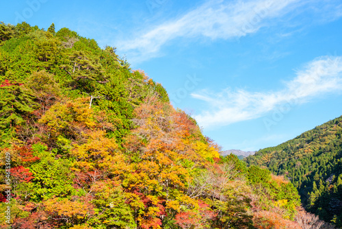 付知峡の紅葉 photo