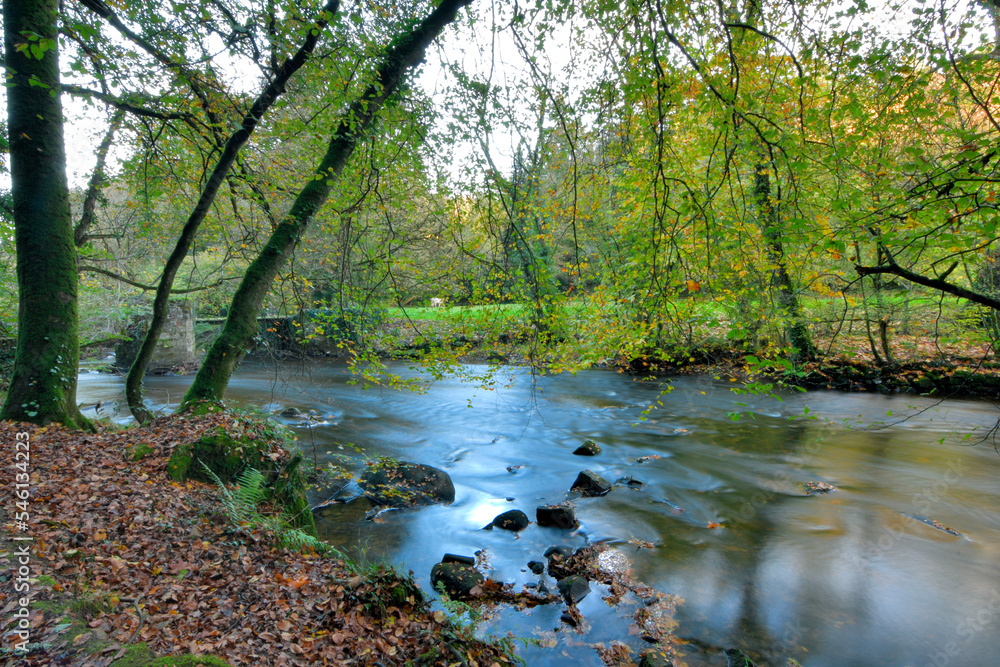 Jolie vue en automne le long du Léguer dans le Trégor - Bretagne France