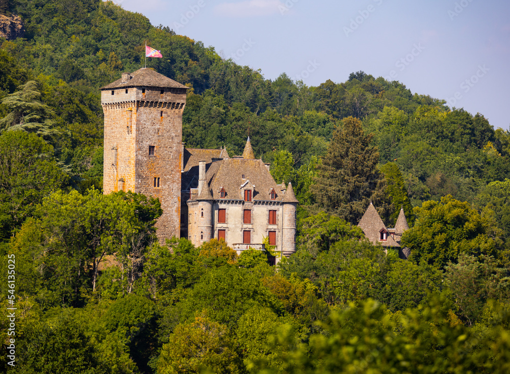 Picturesque view of medieval Pesseils Castle towering near Polminhac on hillside among greenery of forest on sunny summer day, Cantal department, France