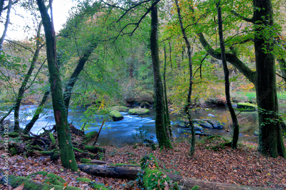 Obraz premium Jolie vue en automne le long du Léguer dans le Trégor - Bretagne France