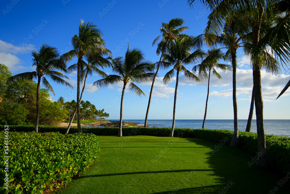 Kapolei, Hawaii / February 23, 2022 : Perfect green lawn on the coast of the Pacific Ocean at the Paradise Cove Luau in Ko Olina, a touristic area on the western shore of O'ahu island in Hawaii Kapolei, Hawaii / February 23, 2022 : Perfect green lawn on the coast of the Pacific Ocean at the Paradise Cove Luau in Ko Olina, a touristic area on the western shore of O'ahu island in Hawaii