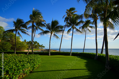 Kapolei, Hawaii / February 23, 2022 : Perfect green lawn on the coast of the Pacific Ocean at the Paradise Cove Luau in Ko Olina, a touristic area on the western shore of O'ahu island in Hawaii