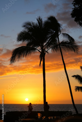 Sunset over the Pacific Ocean in front of a dark palm tree in the resort area of Wailea on the southern shore of Maui island in Hawaii