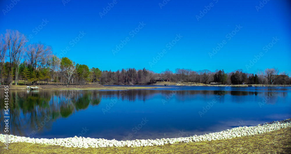 lake and forest lake and forest