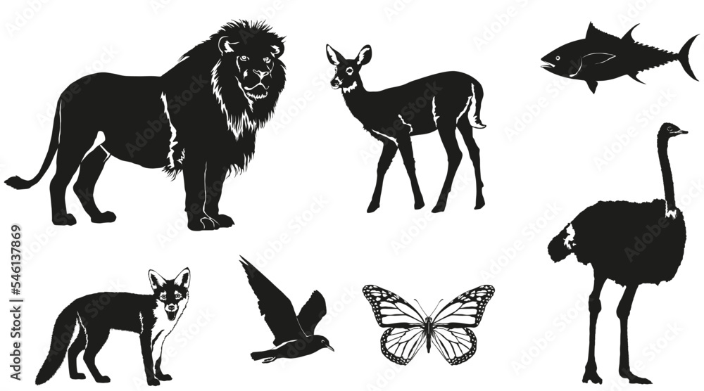 Wild Animal Silhouette