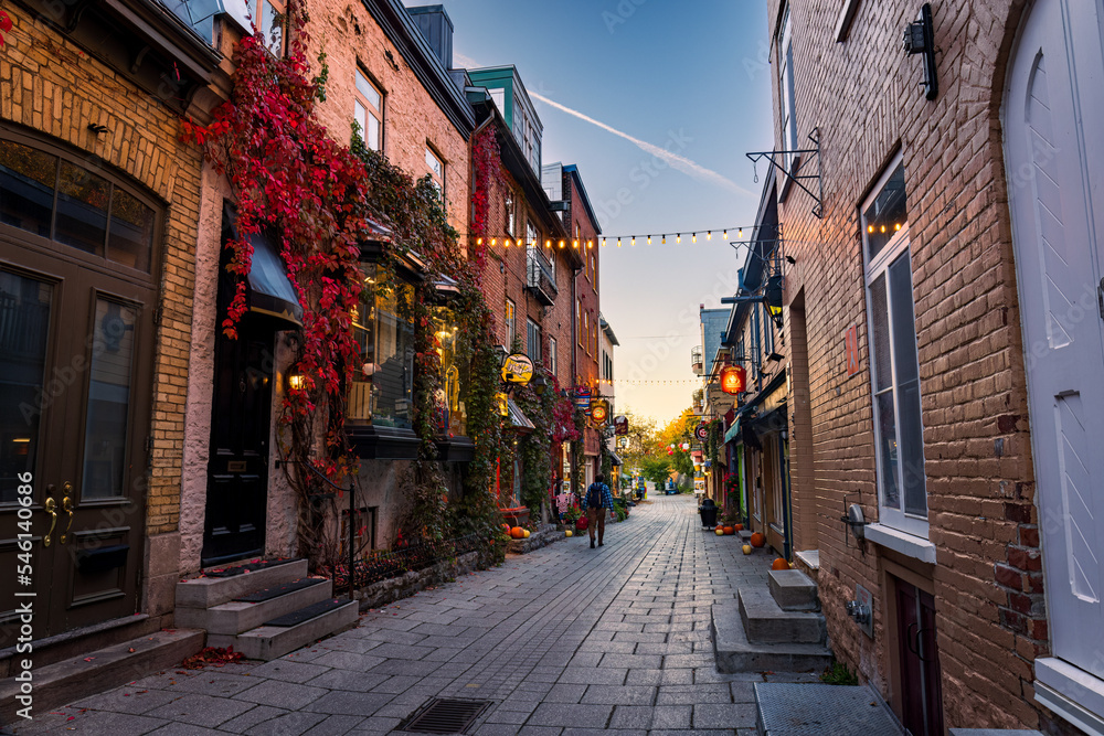 Obraz premium The pedestrian streets of Cartier Champlain make live the experience of the old city of Quebec, they are filled with shops of all kinds to please tourists.