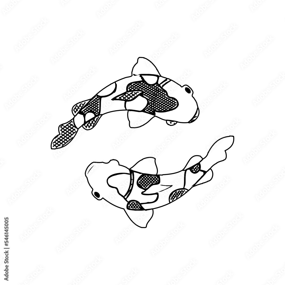 Koi fish black and white sketch design with a transparent background