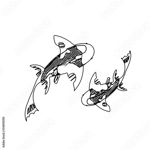 Koi fish black and white sketch design with a transparent background