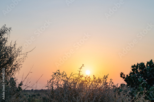 Sun rising at the horizon of Thar desert  Rajasthan  India. Tourists from across India visits to watch desert sun rise at Thar desert.