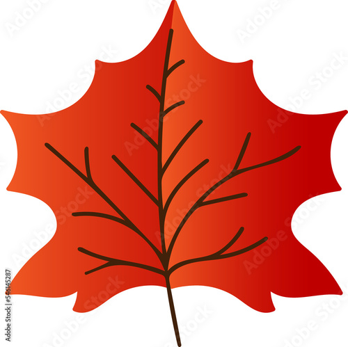 maple leaf