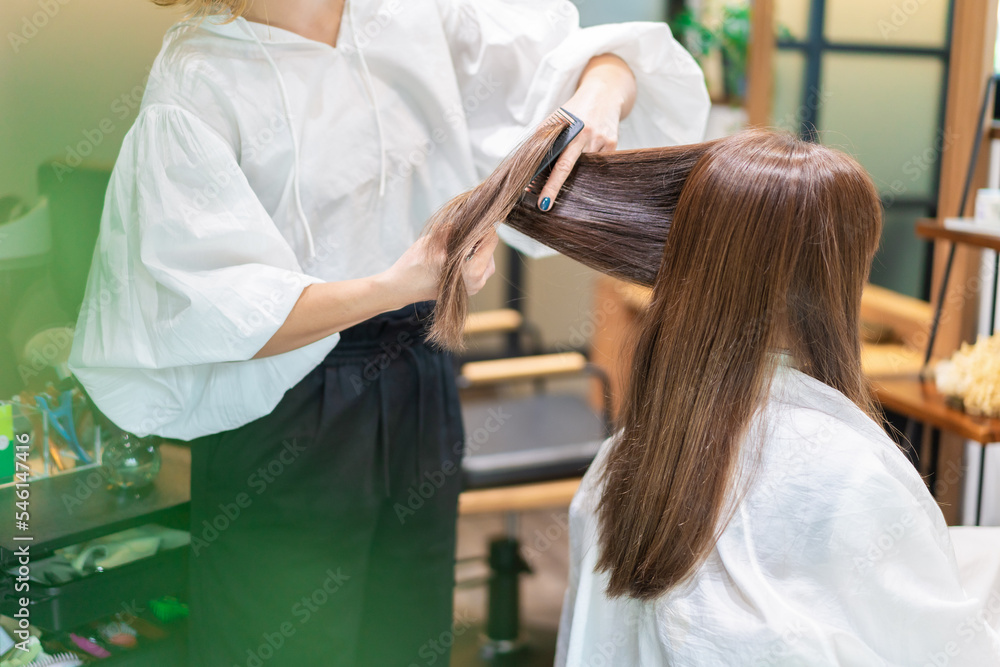 女性のヘアカットをする美容師 女性のヘアカットをする美容師