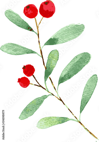 Christmas element in watercolor arrangements with small flower. Botanical illustration minimal style. 