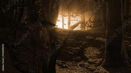 Super smooth shot moving through dark and eerie woods at night when a dazzling orange mysterious alienesque light suddenly glares through the trees bathing the scene is an spooky glow photo