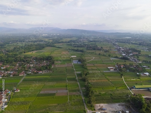 Aerial View of indonesia traditional village and Rice Field.