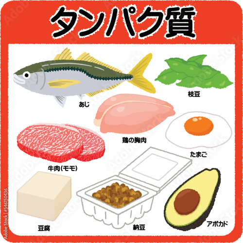 タンパク質の栄養素イラスト