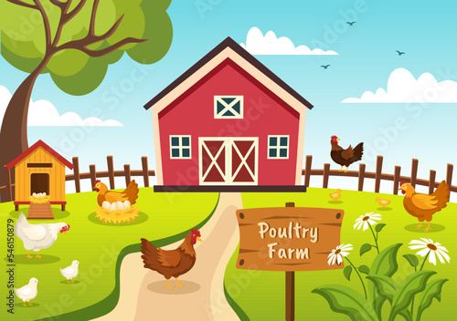 Poultry Farming with Farmer, Cage, Chicken and Egg Farm on Green Field Background View in Hand Drawn Cute Cartoon Template Illustration
