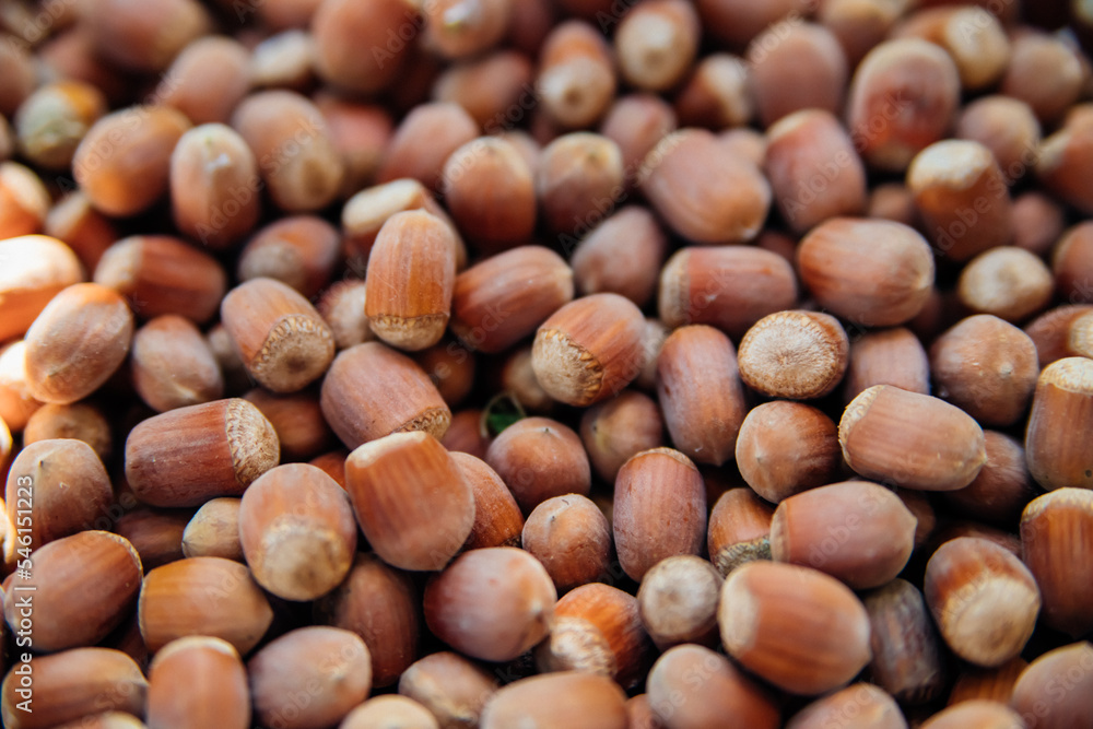 Photo of a hazelnut. The concept of an autumn background made of hazelnuts, healthy, organic brown hazelnuts. Food background. Photo of a hazelnut. The concept of an autumn background made of hazelnuts, healthy, organic brown hazelnuts. Food background.