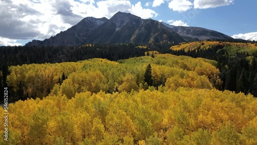 Flying over yellow aspen trees near East Beckwith Mountain colorado photo