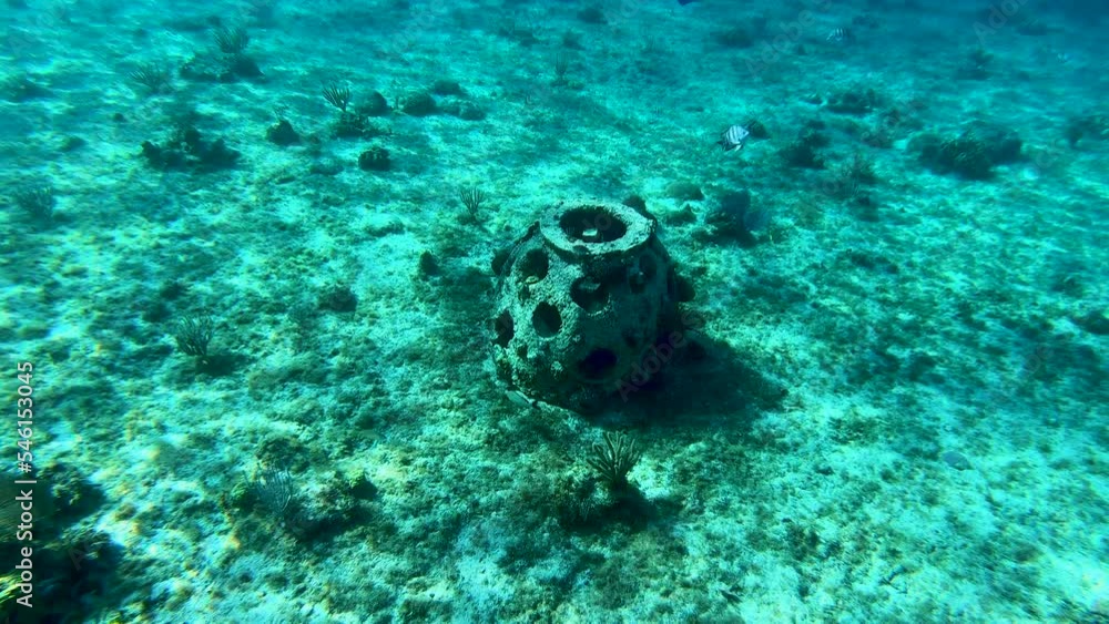 Stone sculpture underwater a big oval shaped stone turquoise underwater clear view of coral reef in Caribbean Sea Stone sculpture underwater a big oval shaped stone turquoise underwater clear view of coral reef in Caribbean Sea