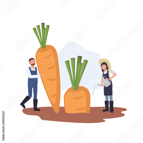 farmers and vegetable in field concept. tiny man take care of plants and woman watering big carrot. Flat vector cartoon character illustration.
