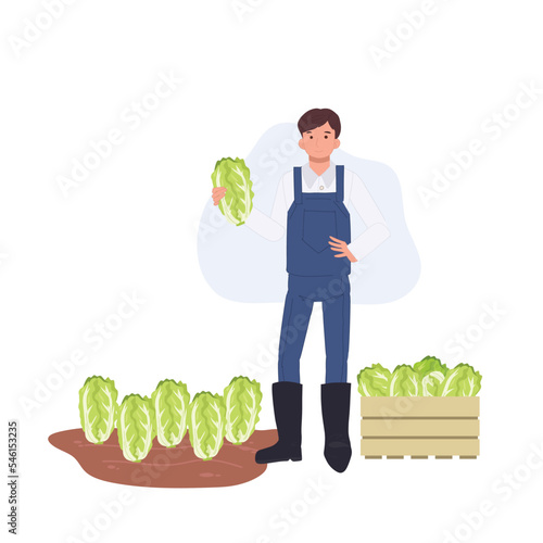 Agricultural concept. male farmer with vegetable Chinese cabbage. Farmer holding fresh product. Flat vector cartoon character illustration.