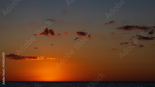 Three Gulls Fly Off Into The Sunset over the Gulf of Mexico off Siesta Key Florida © Brad