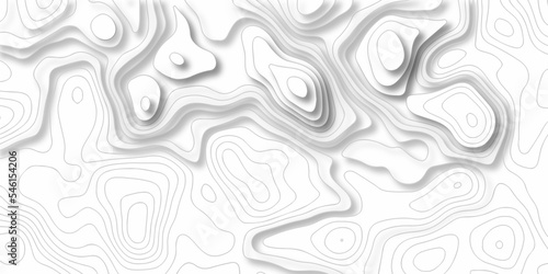 Topographic background and texture, monochrome image.  White wave paper curved reliefs abstract background, Abstract topographic contours map background, Vector contour topographic map. © MdLothfor