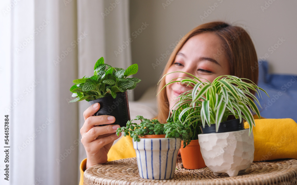Portrait image of a beautiful young woman looking and taking care of houseplants at home Portrait image of a beautiful young woman looking and taking care of houseplants at home