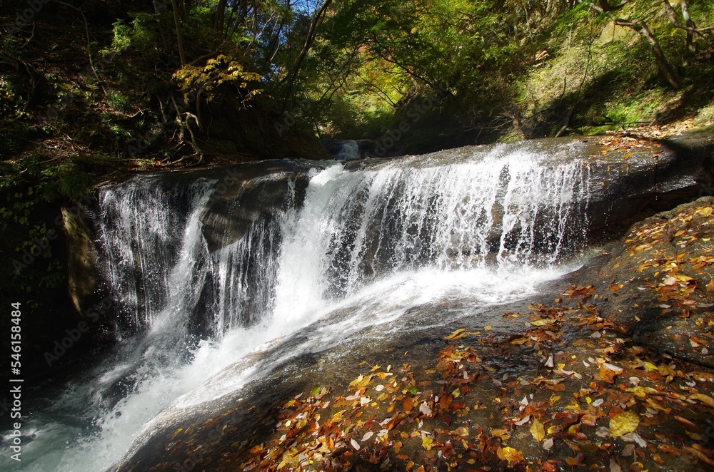 Obraz premium 阿武隈渓谷 一休みの滝