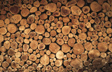 pile of firewood or wood stump background