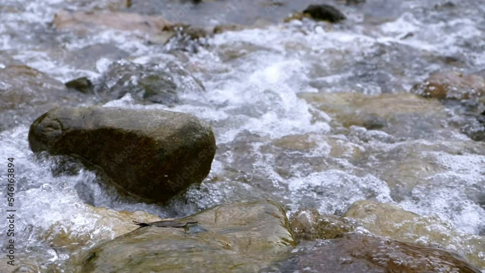 Clear stream running through stone boulders Abundant river flowing in slow motion. Wild mountain river water splashing in summer near the river bank environment. Clear stream running through stone boulders Abundant river flowing in slow motion. Wild mountain river water splashing in summer near the river bank environment.